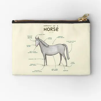 Anatomija konja, torbe munje, Ženska torba za čuvanje novca, Donje rublje, Nakit, Male gaćice, Čarape, Čist džep za kovanice, Ambalaža za ključeve